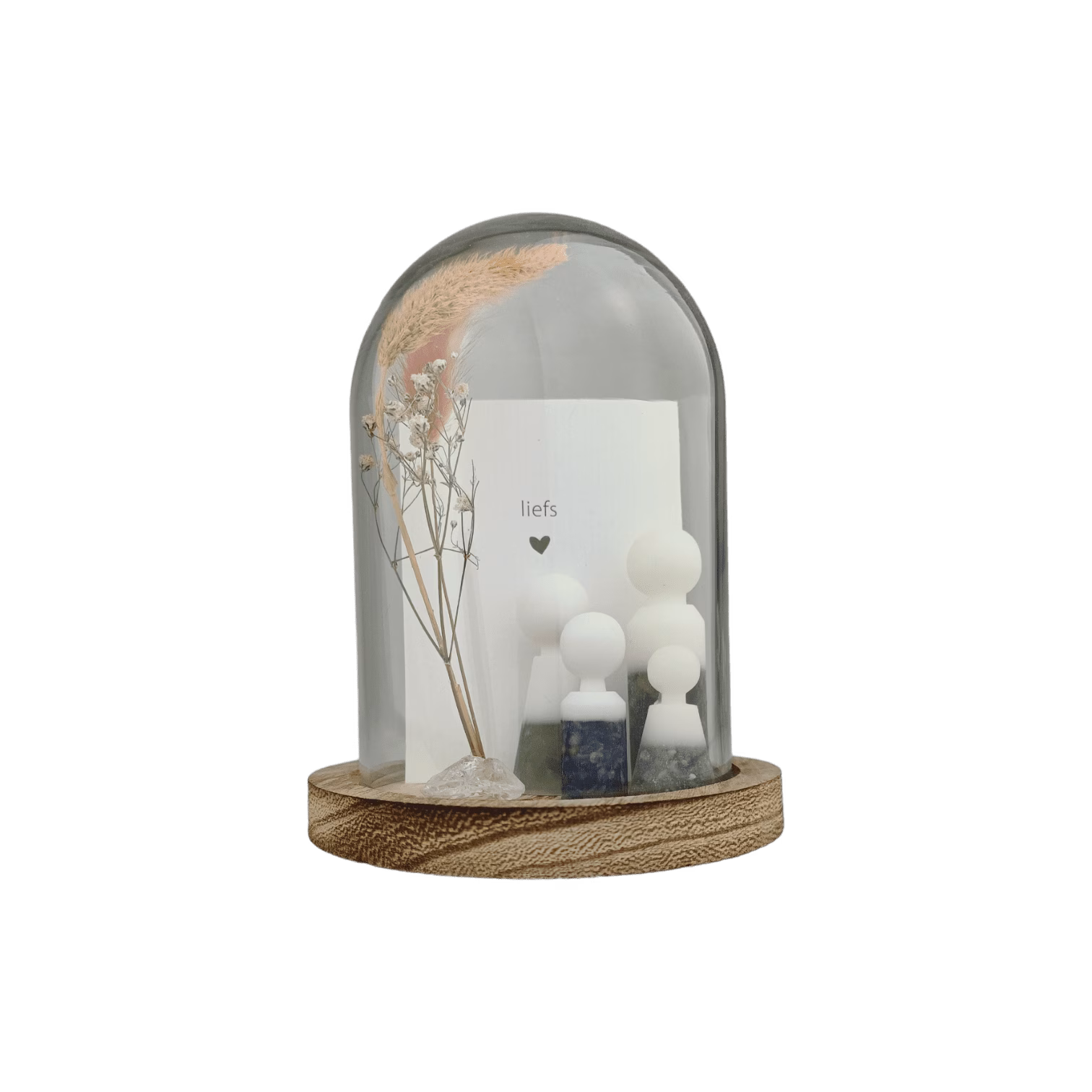 Gempops gezin 4 personen - Afbeelding 2